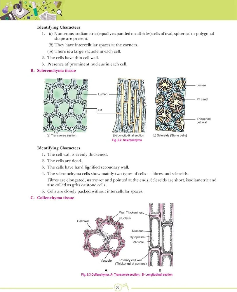 VK LAB MANUAL SCIENCE CLASS 9
