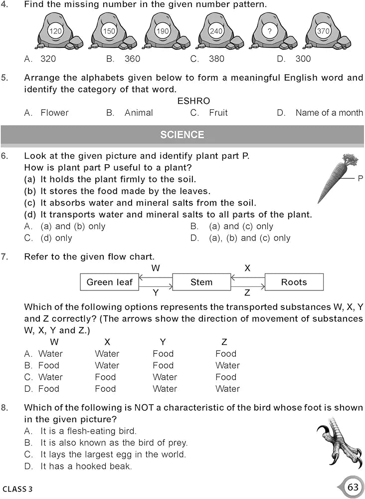 MTG IGKO Workbook is the perfect companion for students preparing for the SOF International General Knowledge Olympiad (IGKO) 2024-25 for exam excellence.
Who Can Benefit?
    SOF IGKO participants
    For classes 1-10
    School teachers
BOOK DESCRI