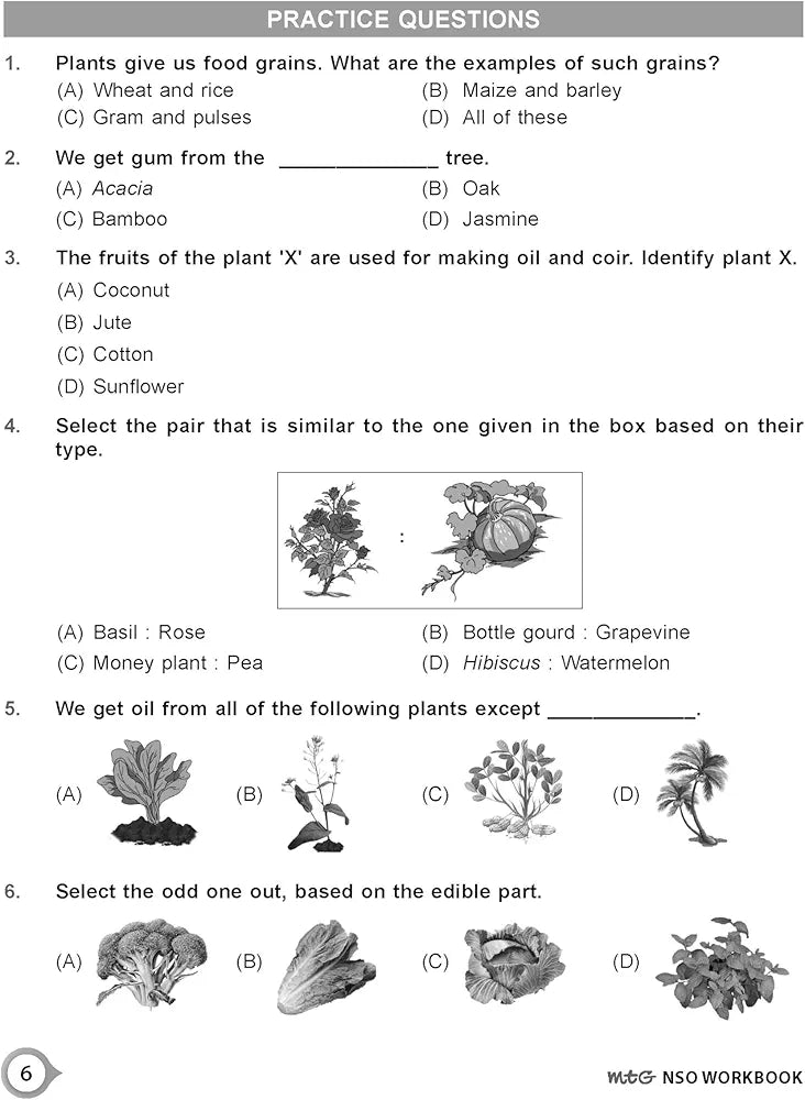 MTG SCIENCE OLYMPIAD WORKBOOK 2024-25