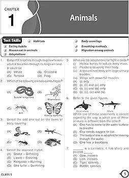 MTG National Science Olympiad (NSO) Workbook for Class 5 - Quick Recap, MCQs, Previous Years Solved Paper and Achievers Section - SOF Olympiad Preparation Books For 2024-2025 Exam