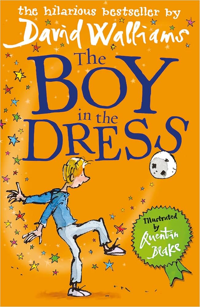 David Williams The boy in the dress (Paperback)