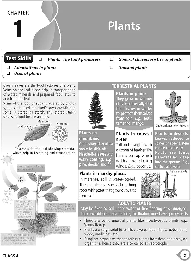 MTG National Science Olympiad (NSO) Workbook for Class 4 - Quick Recap, MCQs, Previous Years Solved Paper and Achievers Section - SOF Olympiad Preparation Books For 2024-2025 Exam