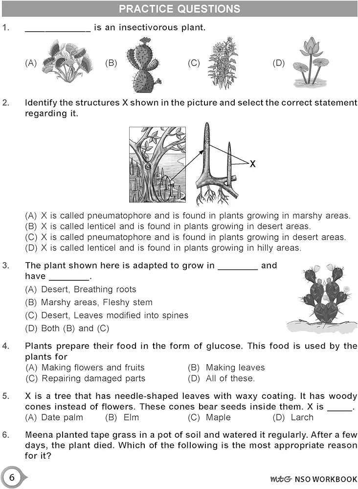 MTG National Science Olympiad (NSO) Workbook for Class 4 - Quick Recap, MCQs, Previous Years Solved Paper and Achievers Section - SOF Olympiad Preparation Books For 2024-2025 Exam
