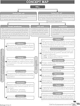 MTG Foundation Course Class 9 Biology Book For IIT JEE, NEET, NSO Olympiad, NTSE, NVS, KVPY & Boards Exam | Based on NCERT Latest Pattern 2024-25
