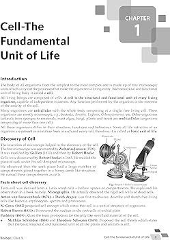MTG Foundation Course Class 9 Biology Book For IIT JEE, NEET, NSO Olympiad, NTSE, NVS, KVPY & Boards Exam | Based on NCERT Latest Pattern 2024-25