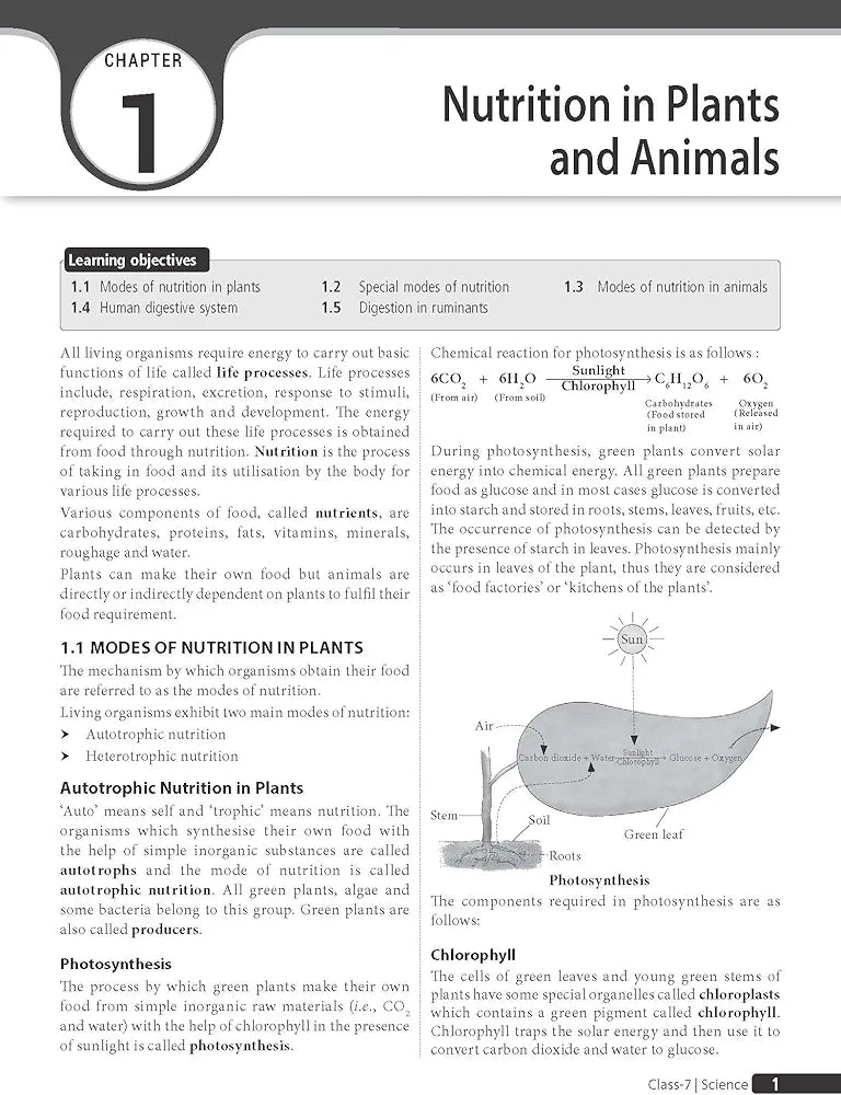 MTG Olympiad Prep-Guide Science Class 7 - Detailed Theory, Self Test with NSO Chapterwise Previous Year Question Paper For SOF 2023-24 Exam MTG Editorial Board