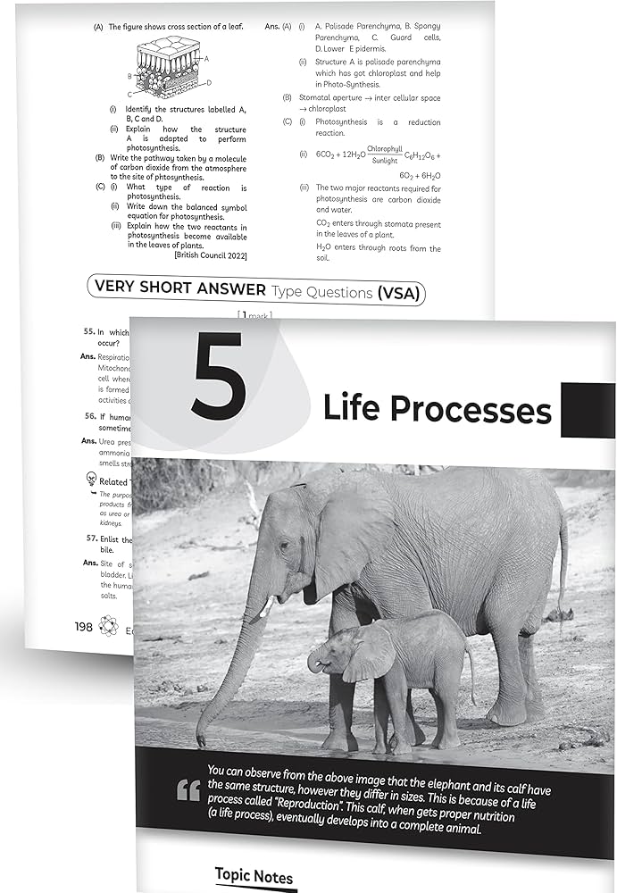 EDUCART CBSE CLASS 10 QUESTION BANK SCIENCE 2023-24