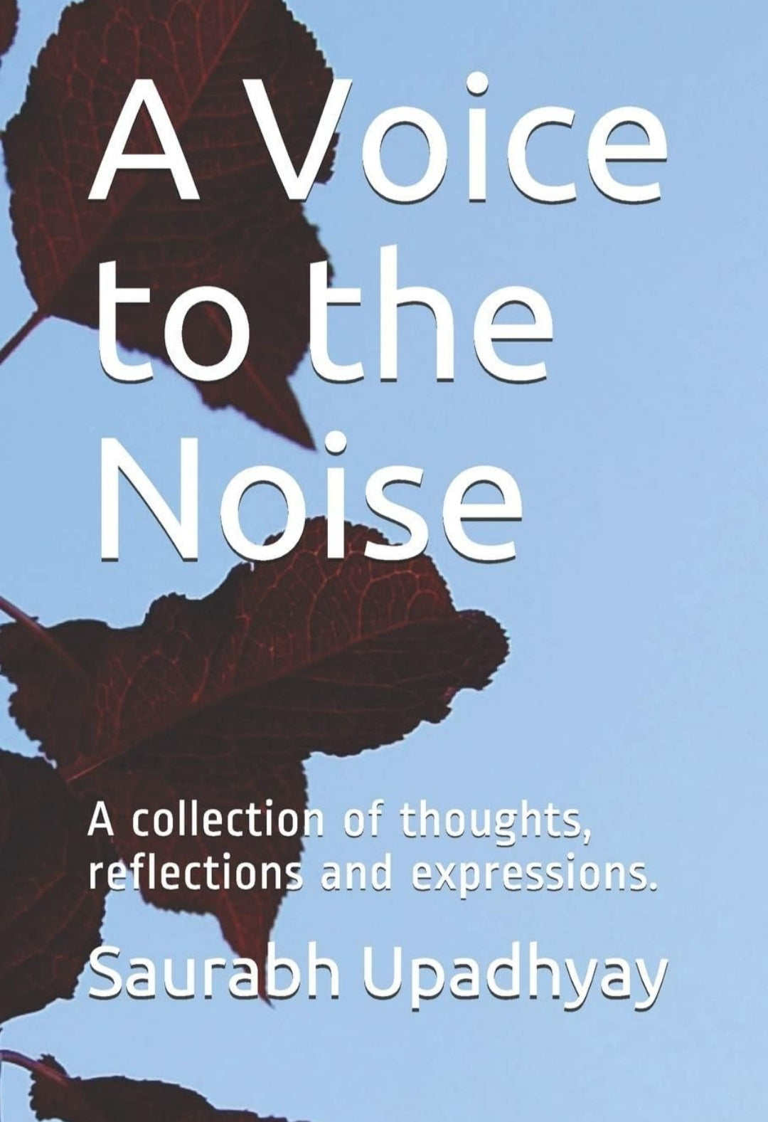 A Voice to the Noise: A collection of thoughts, reflections and expressions