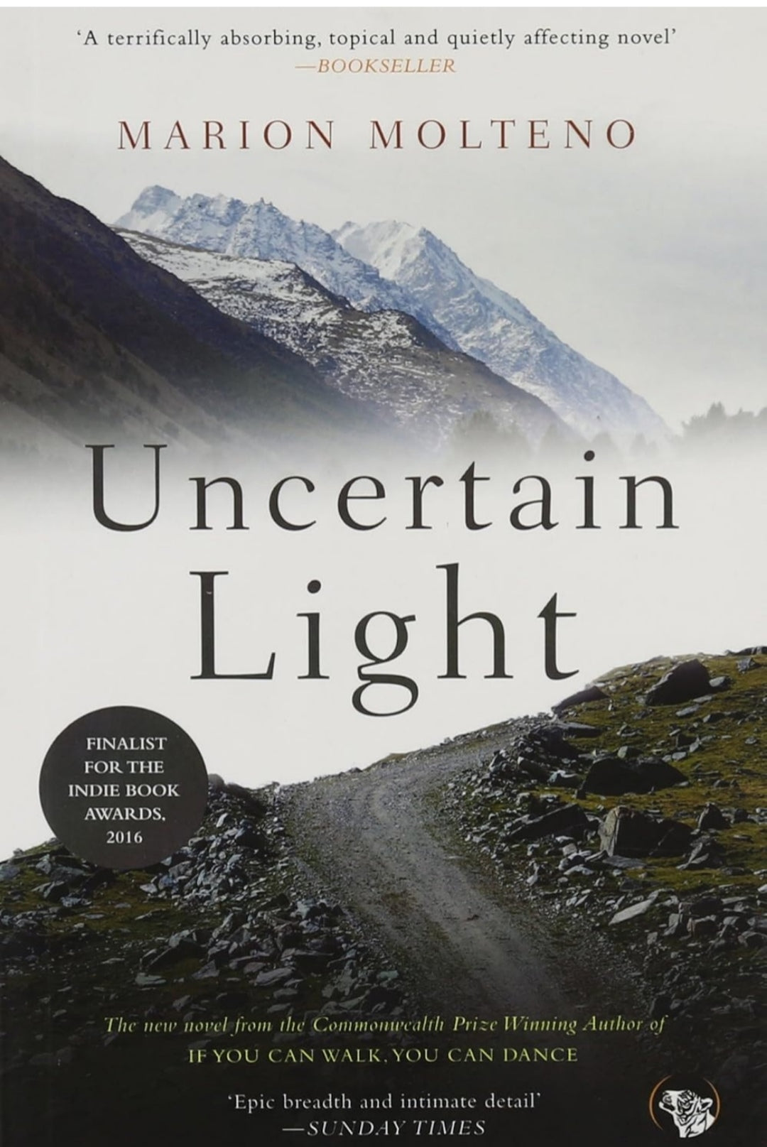 An Uncertain Light: A Novel