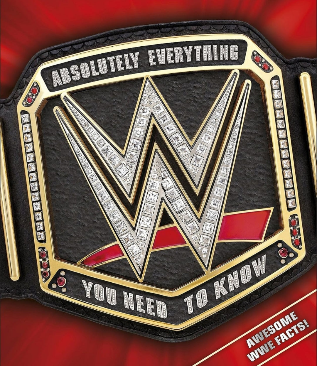 WWE Absolutely Everything You Need to Know