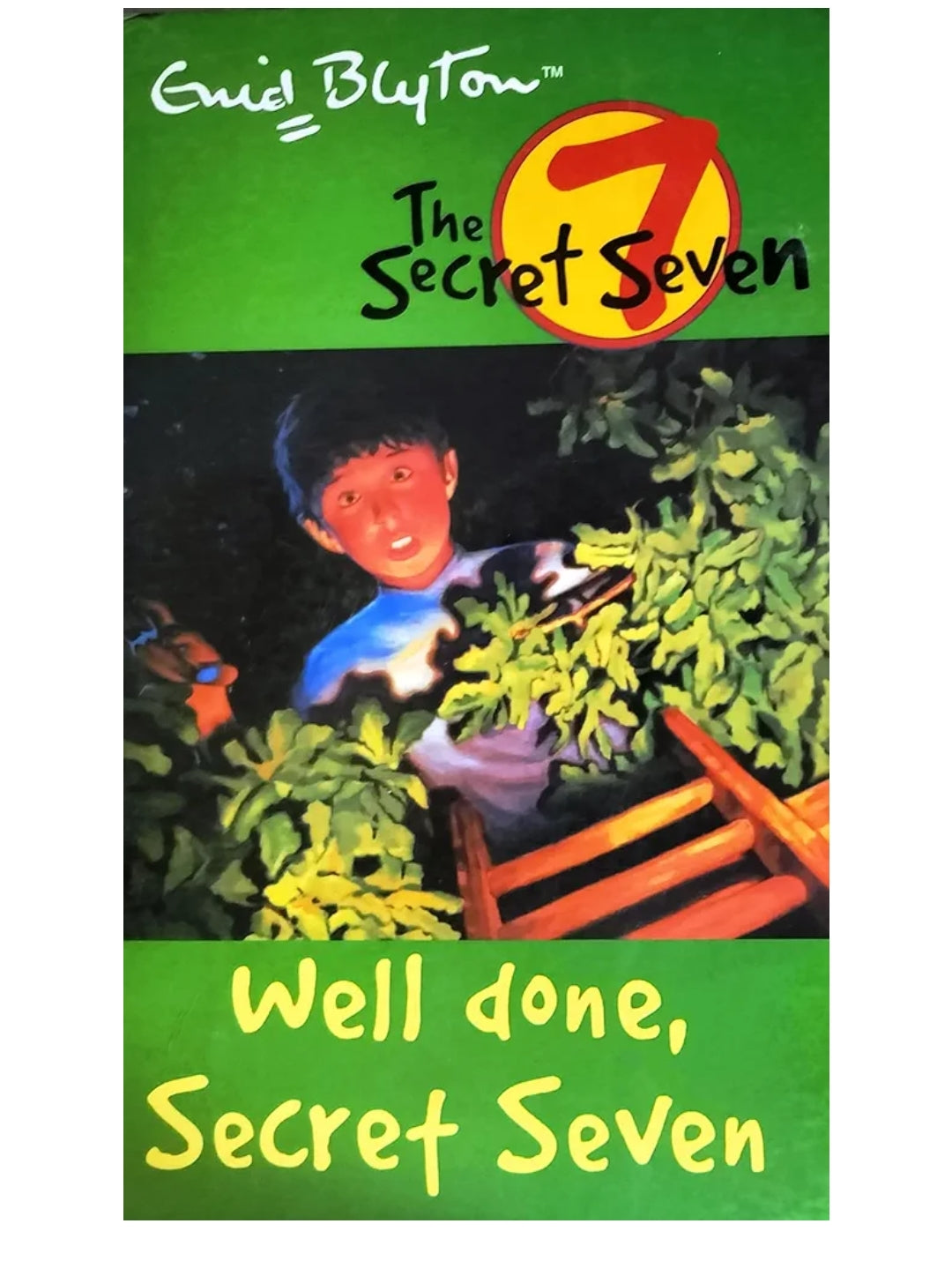Thriller Novels
Secret Seven - Well Done,Secret Seven