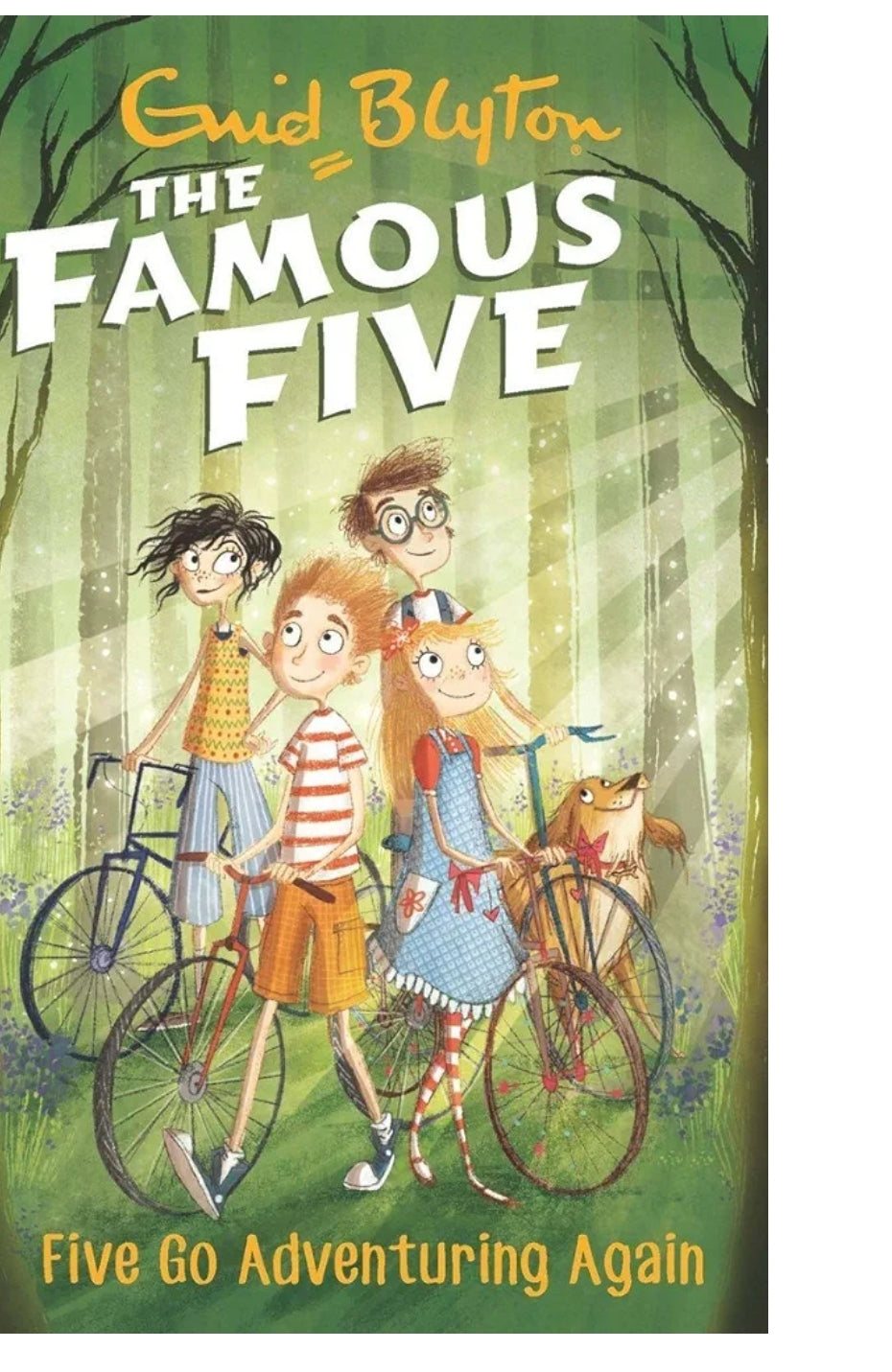 FAMOUS FIVE :02: FIVE GO ADVENTURING AGAIN