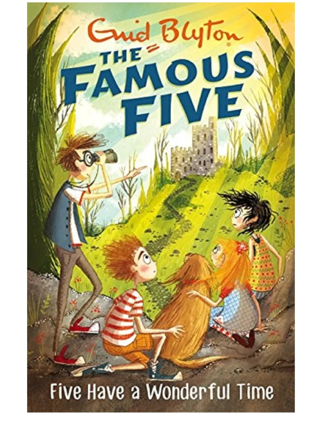 Enid Blyton
FAMOUS FIVE:11: FIVE HAVE A WONDERFUL TIME