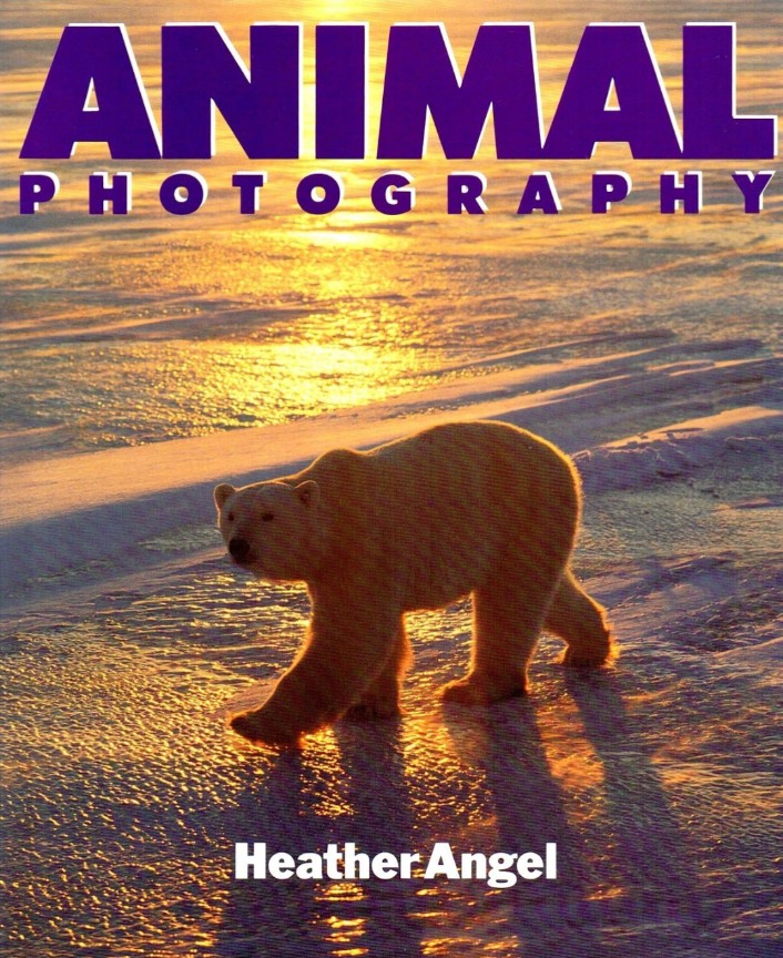 Animal Photography hard cover