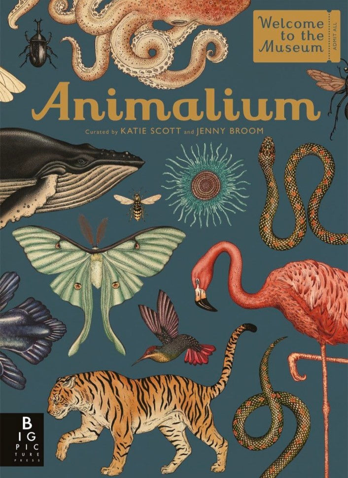 Animalium (Welcome To The Museum) hard cover