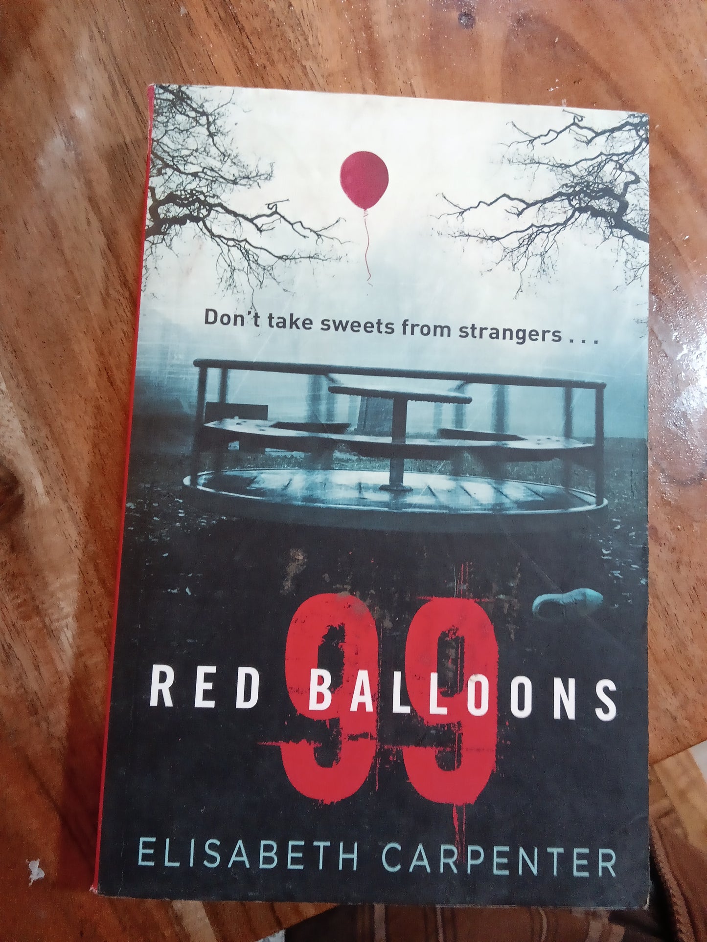 99 Red Balloons
Book by Elisabeth Carpenter