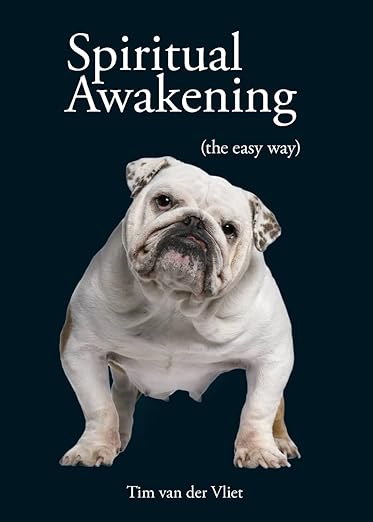 Spiritual Awakening: (The Easy Way) Paperback – 2 September 2013
by Tim Van Der Vliet (Author)