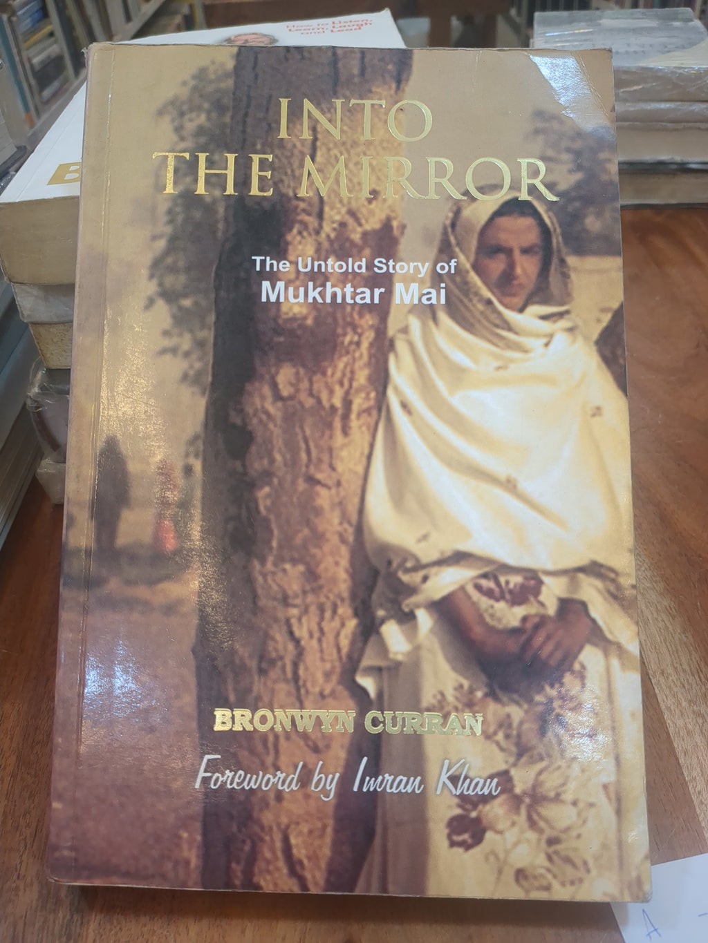 Bronwyn Curran Into the Mirror: The Untold Story of Mukhtar Mai(Grade:A)