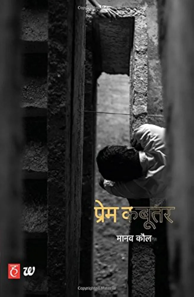 Manav Kaul
Prem Kabootar
Hindi Edition