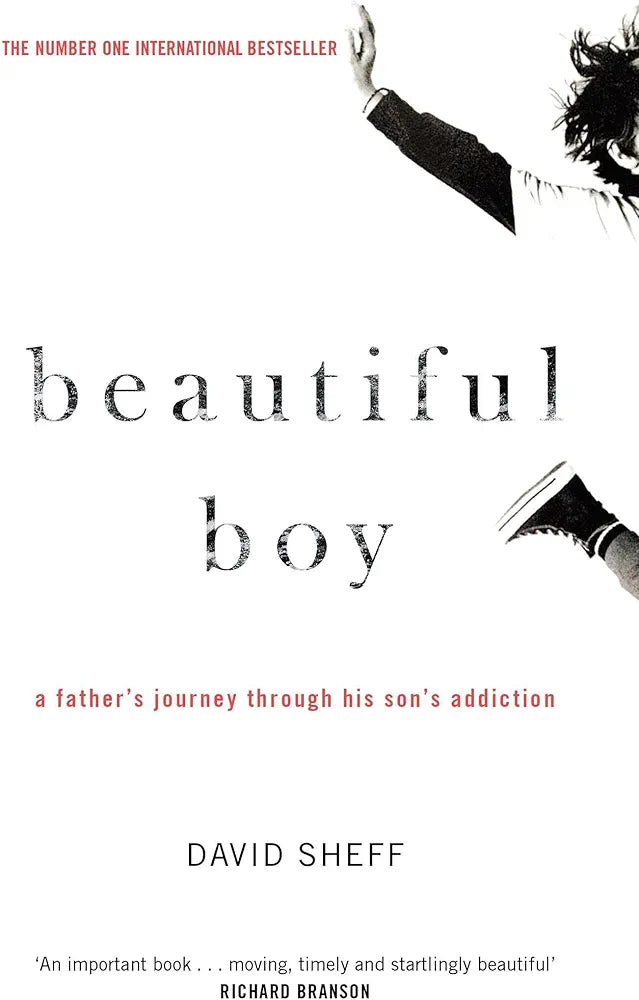David Sheff Beautiful Boy(Grade:B)