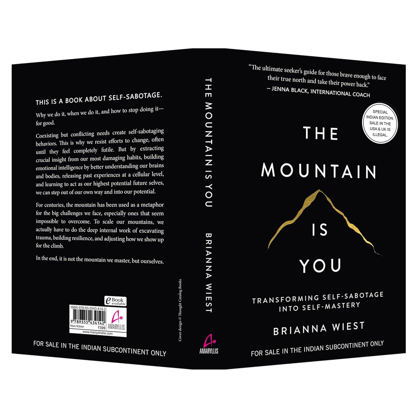 The Mountain Is You: Transforming Self-Sabotage Into Self-Mastery (English) [ A+ ]