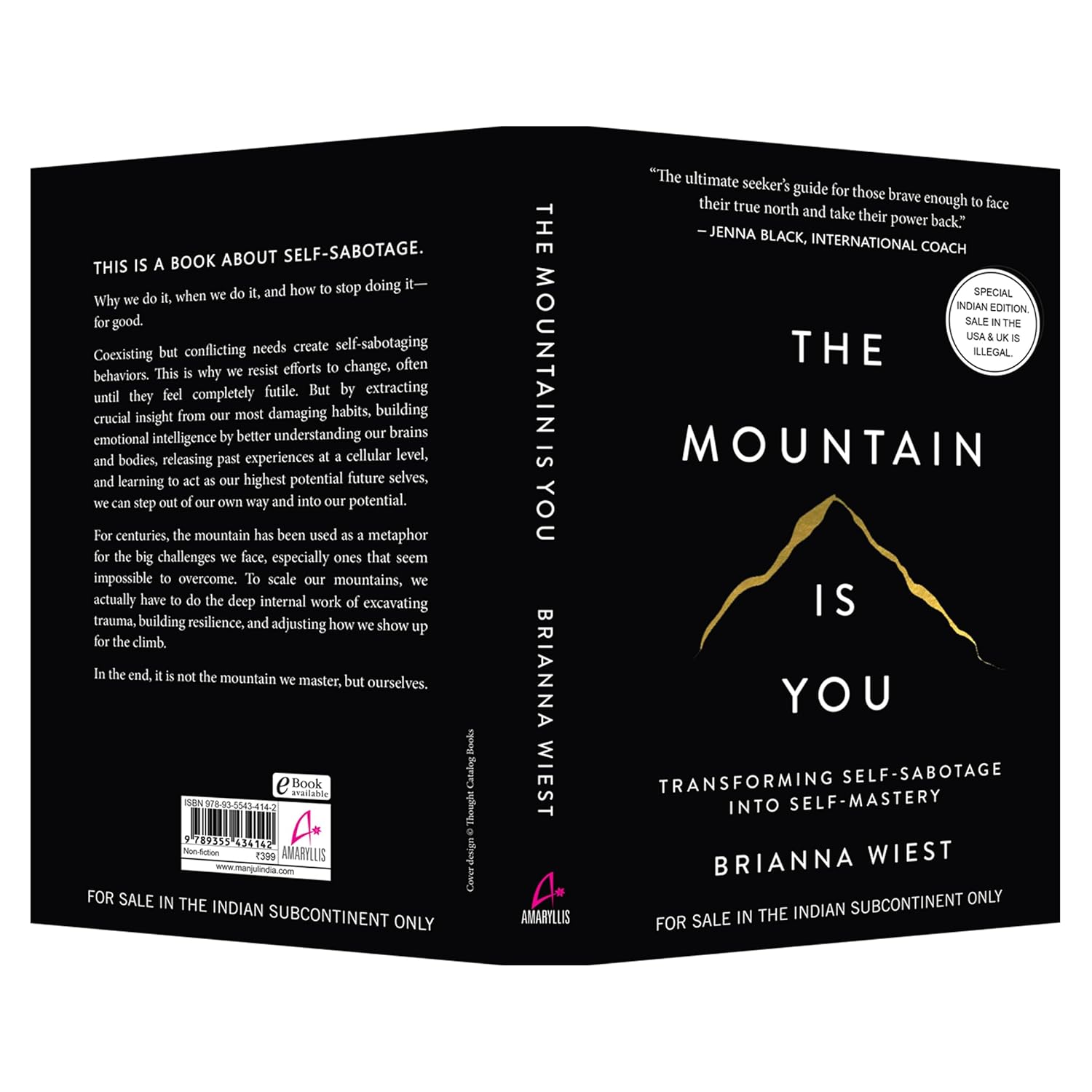 The Mountain Is You: Transforming Self-Sabotage Into Self-Mastery (English) [ A+ ]
