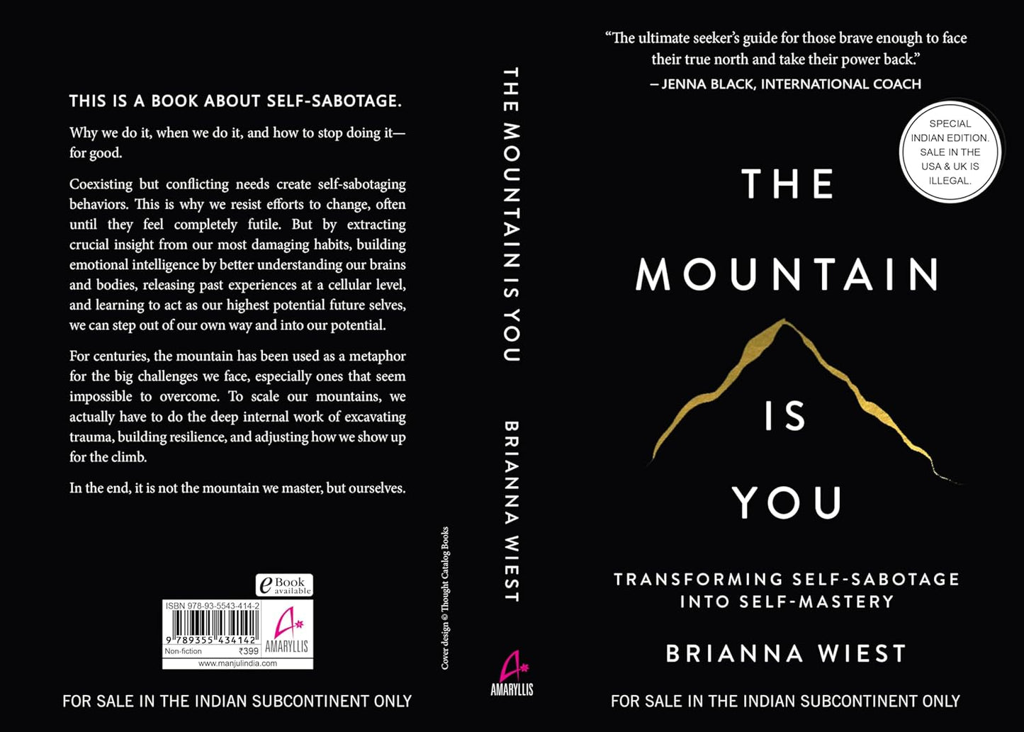 The Mountain Is You: Transforming Self-Sabotage Into Self-Mastery (English) [ A+ ]