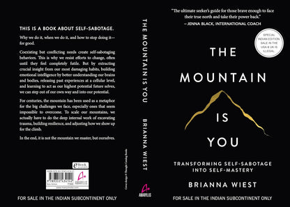 The Mountain Is You: Transforming Self-Sabotage Into Self-Mastery (English) [ A+ ]