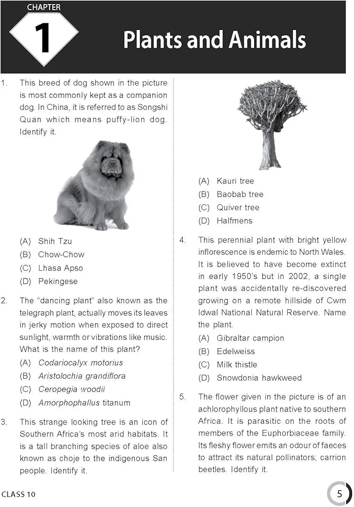 MTG International General Knowledge Olympiad (IGKO) Workbook for Class 10 - MCQs & Achievers Section - SOF IGKO Olympiad Preparation Books For 2023-2024 Exam