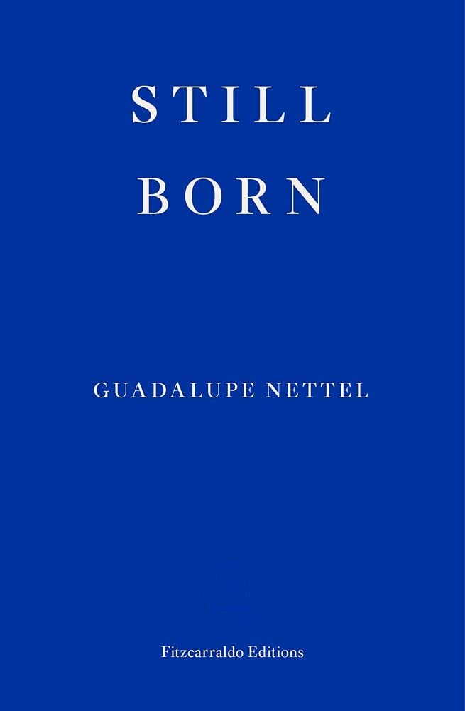 Still Born by Guadalupe Nettel (GRADE - B)