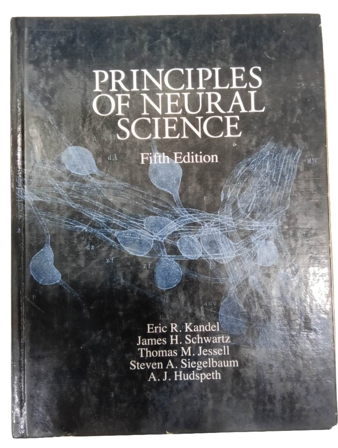 PRINCIPLES OF NEURAL SCIENCE 5th EDITION                   [Eric R. Kandel James H. Schwartz Thomas M. Jessell Steven A. Siegelbaum A.J. Hudspeth]