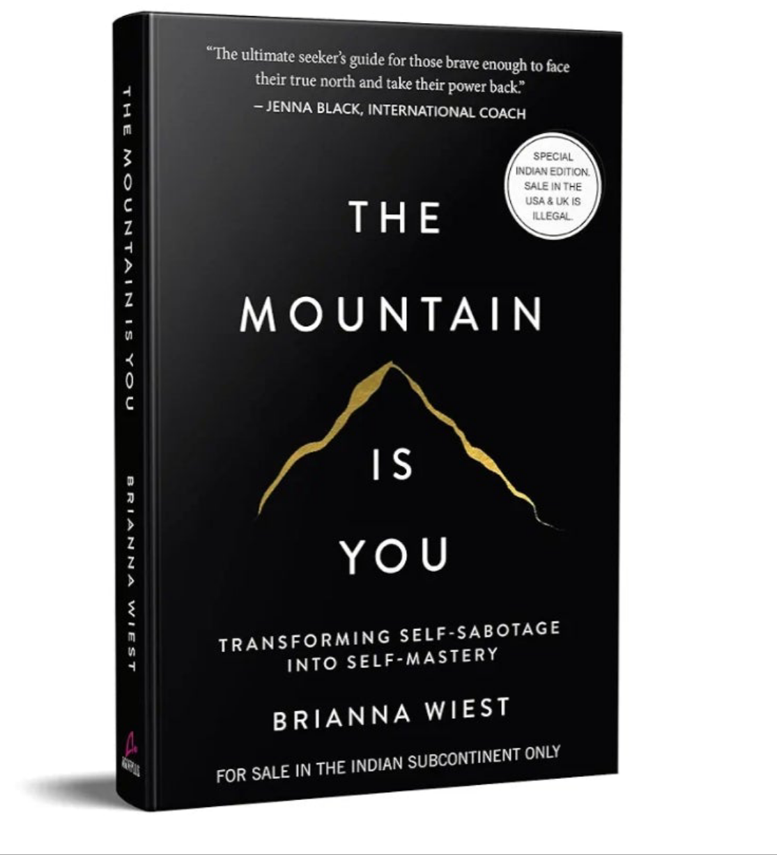 THE MOUNTAIN IS YOU BRIANNA WIEST