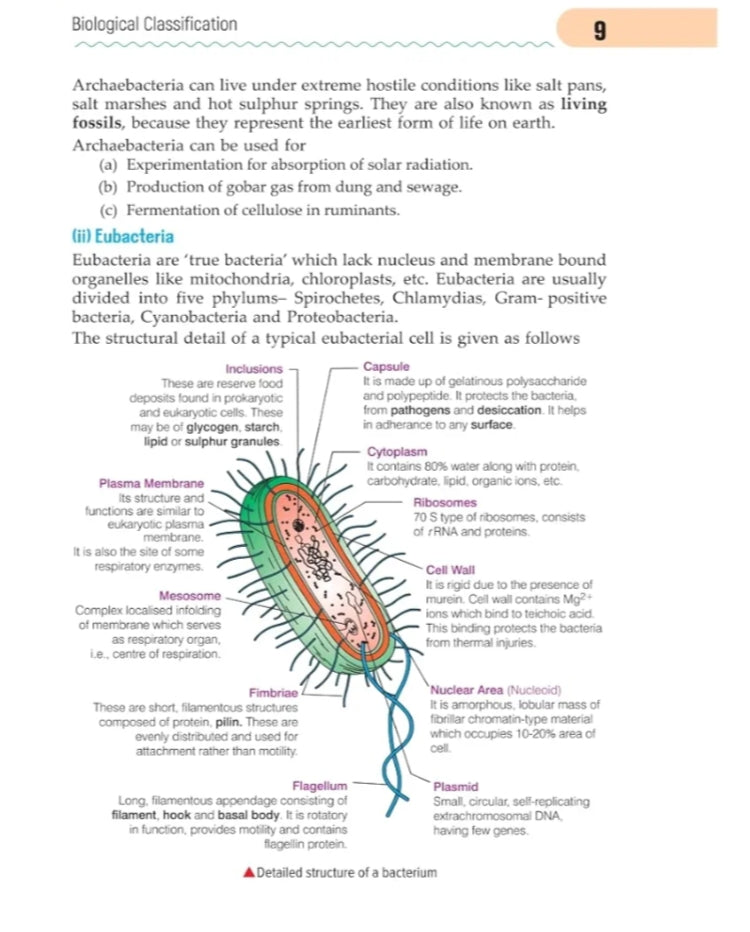 Arihant Handbook Biology for class 11th - 12th, Medical, & Other Competition | With Fantastic 4- Value Points, Competition Insight, Knowledge Boosters, Knowledge Library