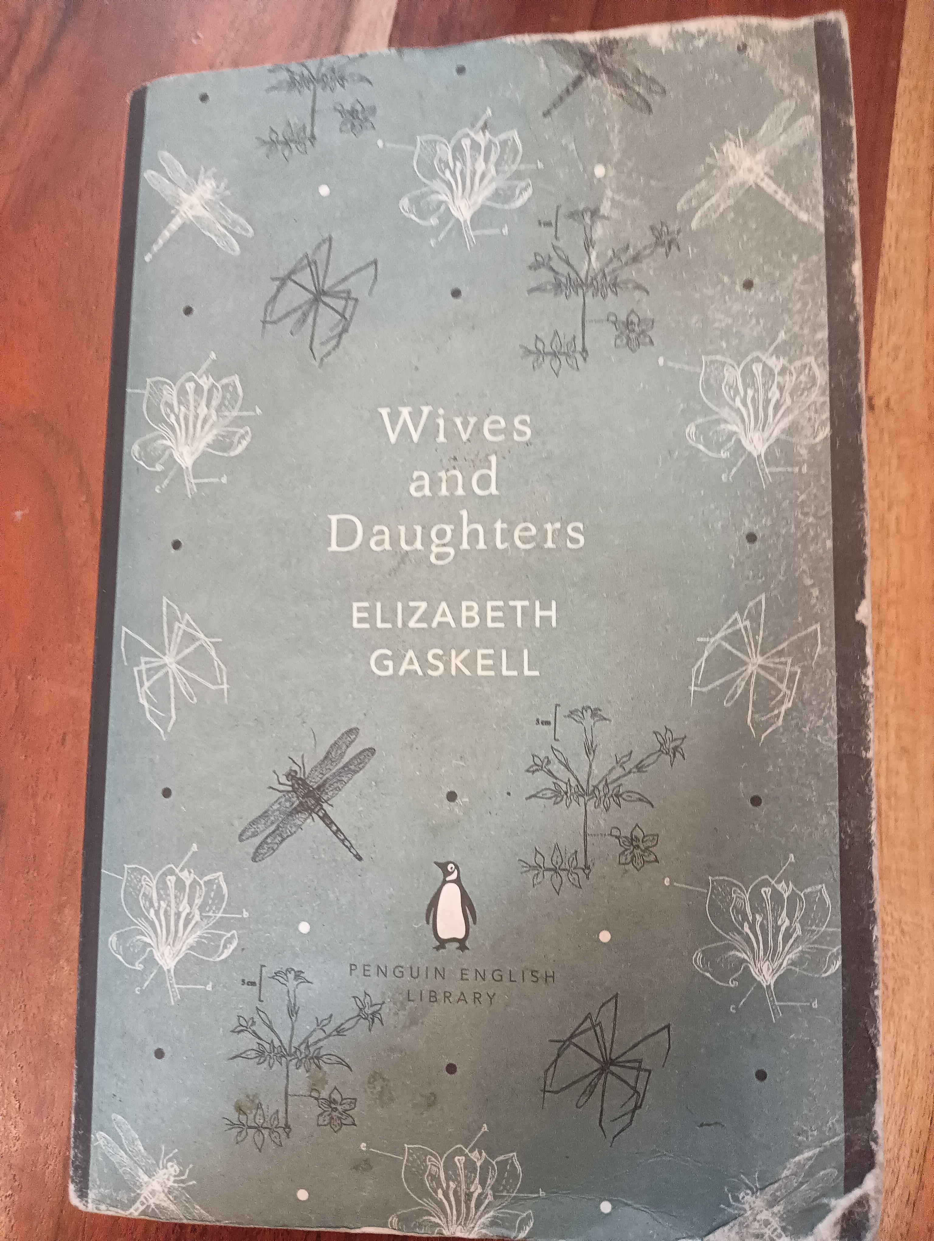 Wives and Daughters by Elizabeth Gaskell (Grade - E)