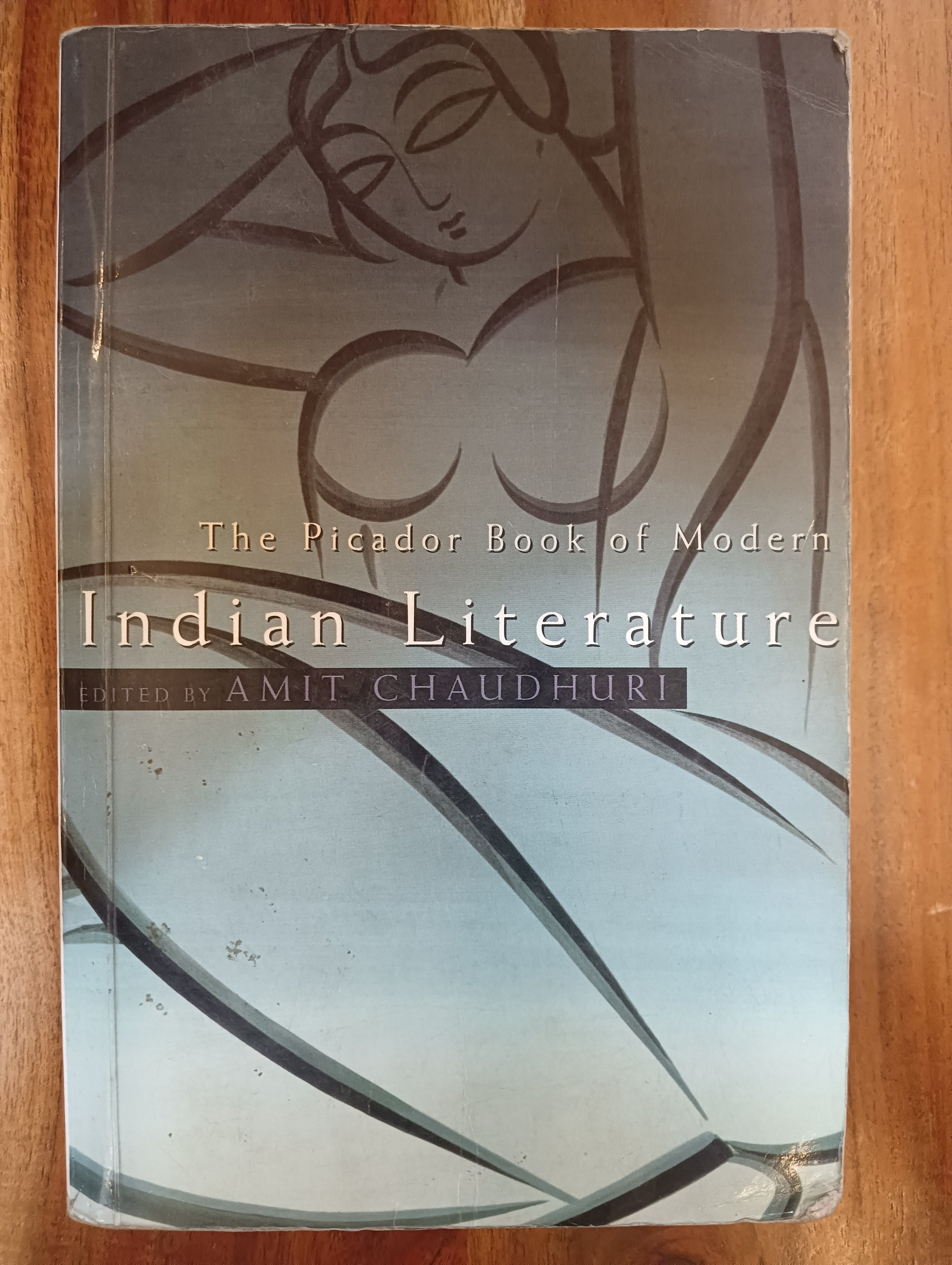 Indian Literature by Amit Chaudhuri (Grade - C)
