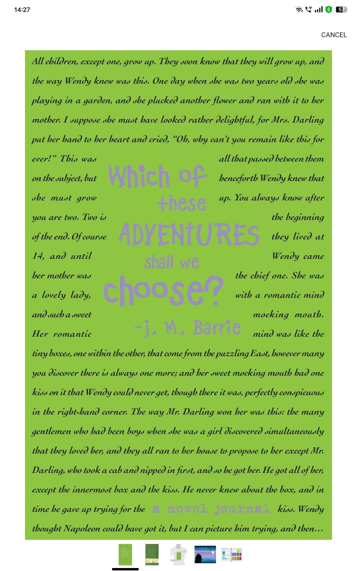 A Novel Journal: Peter Pan (Compact)