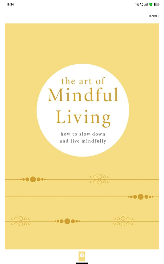 THE ART OF MINDFUL LIVING: HOW TO SLOW DOWN AND LIVE MINDFULLY
