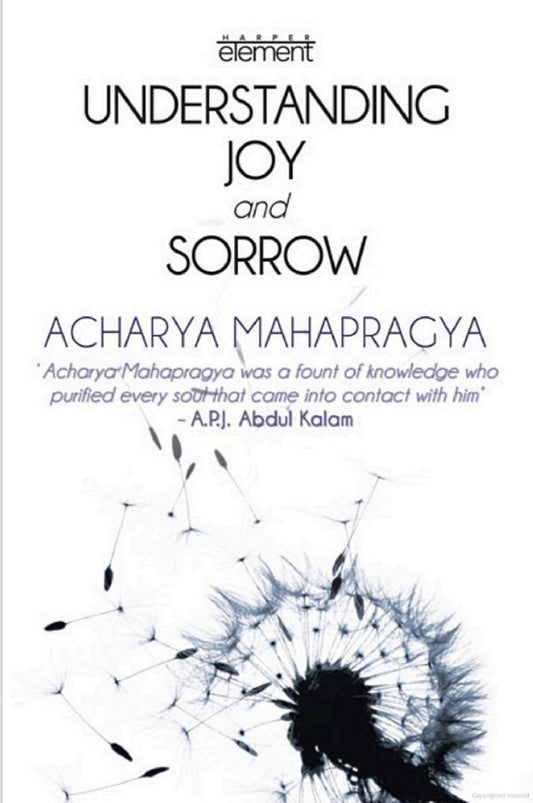 Understanding Joy And Sorrow