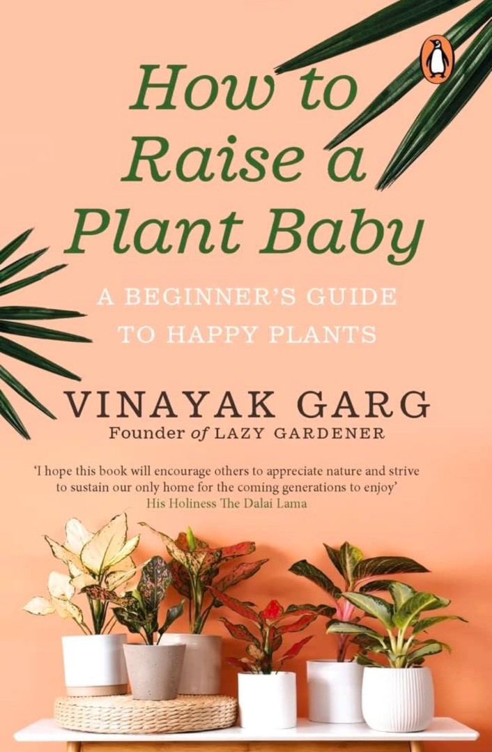 How To Raise A Plant Baby: A Beginner's
