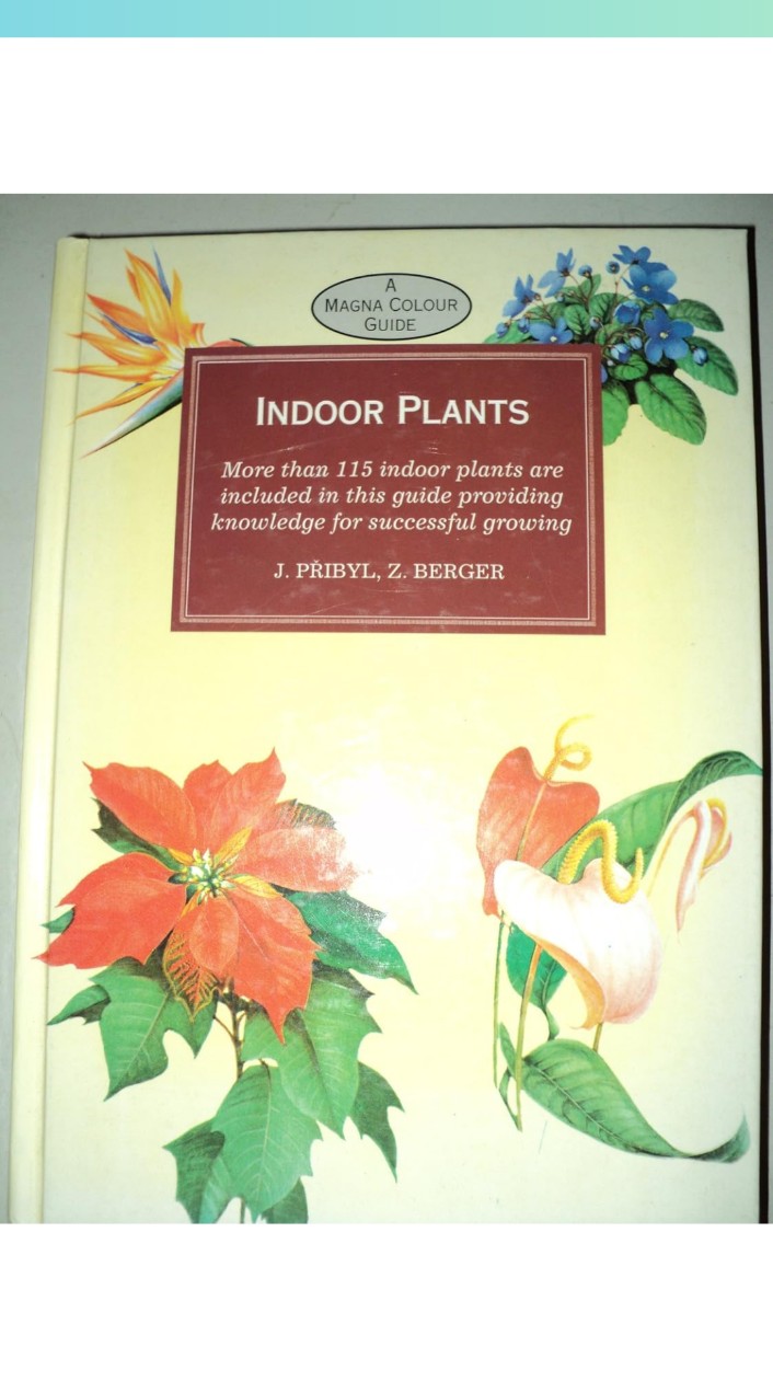 Indoor Plants hard cover