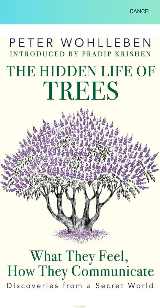 Hidden Life of Trees, The: What They Fee