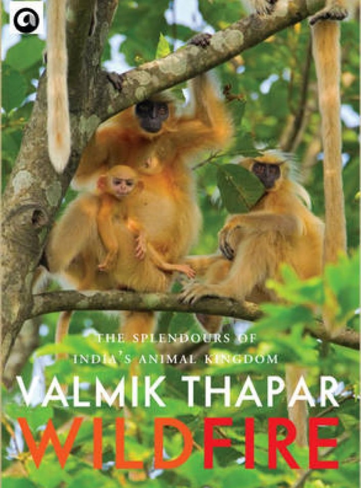 Wild Fire: The Splendours of India's Animal K hard cover old ingdom, Part 2 of The Indian Wildlife Trilogy