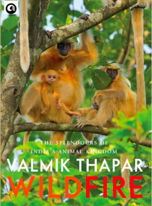 Wild Fire: The Splendours of India's Animal K hard cover old ingdom, Part 2 of The Indian Wildlife Trilogy