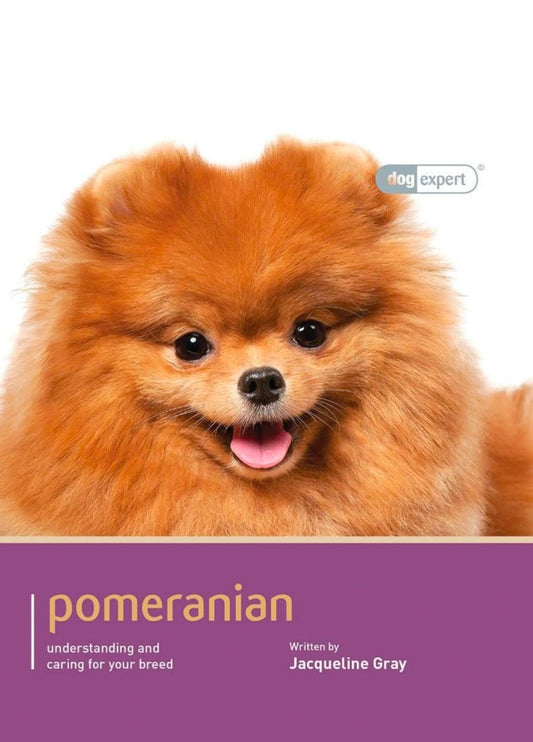 Pomeranian - Dog Expert