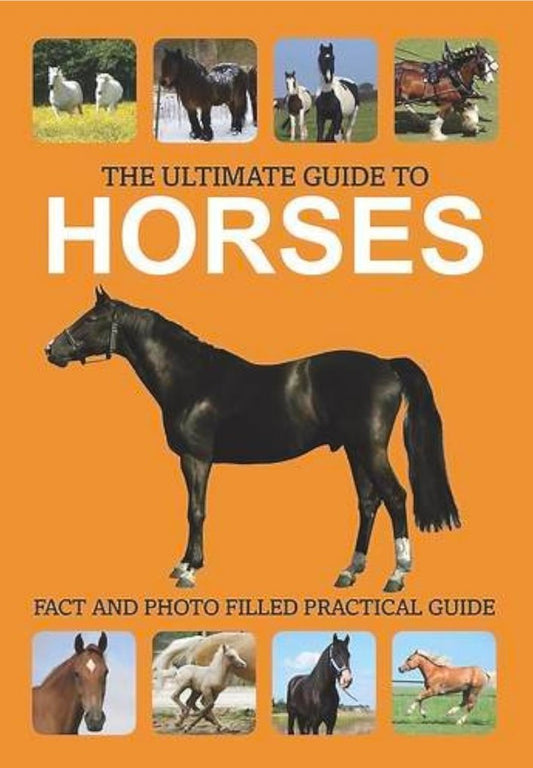 The Ultimate Guide to Horses