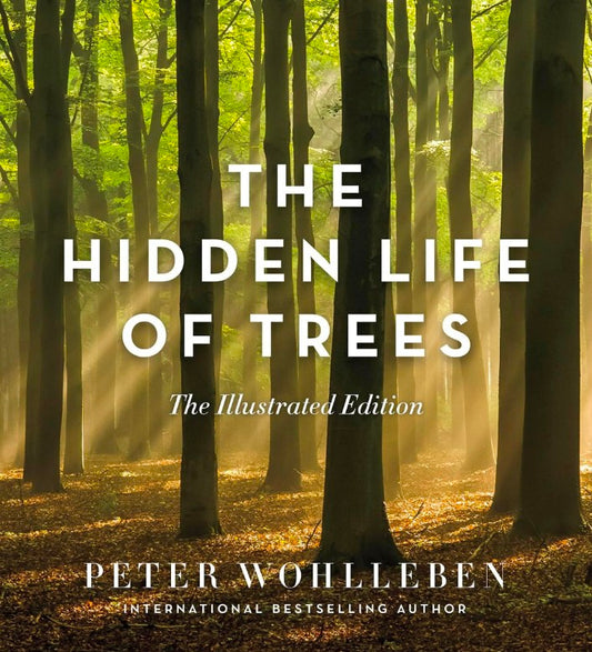 Hidden Life Of Trees Illustrated edition hard cover