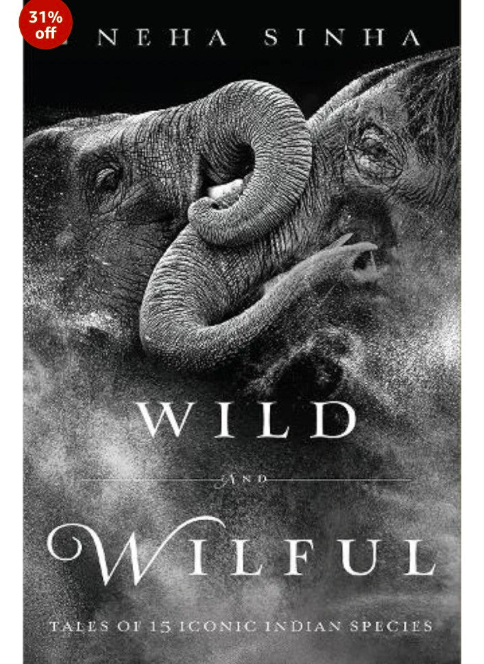 Wild And Wilful