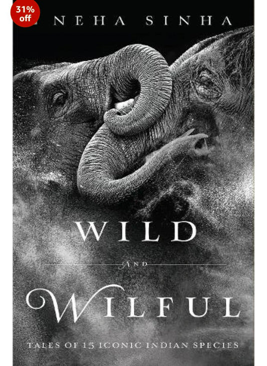 Wild And Wilful