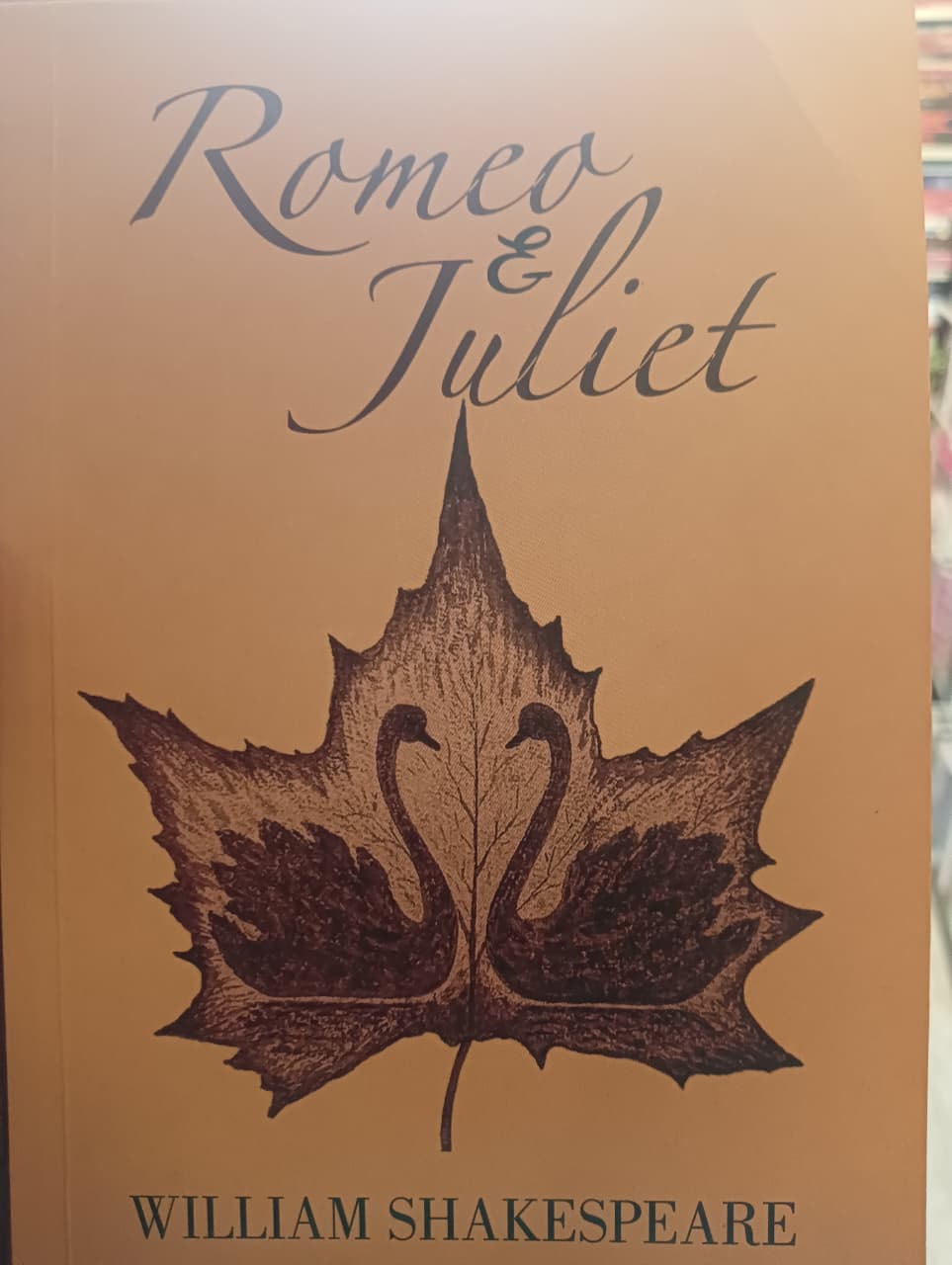Romeo and Juliet by William Shakespeare (Grade - A)