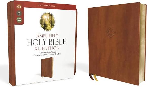 HOLY BIBLE XL EDITION BY AMP (GRADE - A)